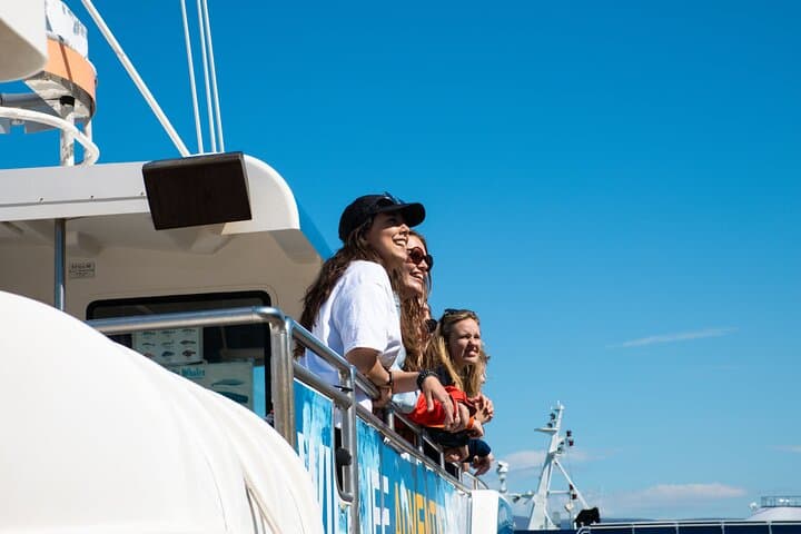 Guests enjoy the fresh sea breeze and sunshine as they set out for an unforgettable Whale Watching experience.