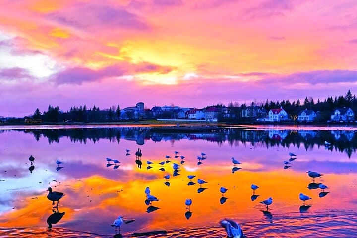 Reykjavík by Night - Illuminated Landmarks and Coastal Charm