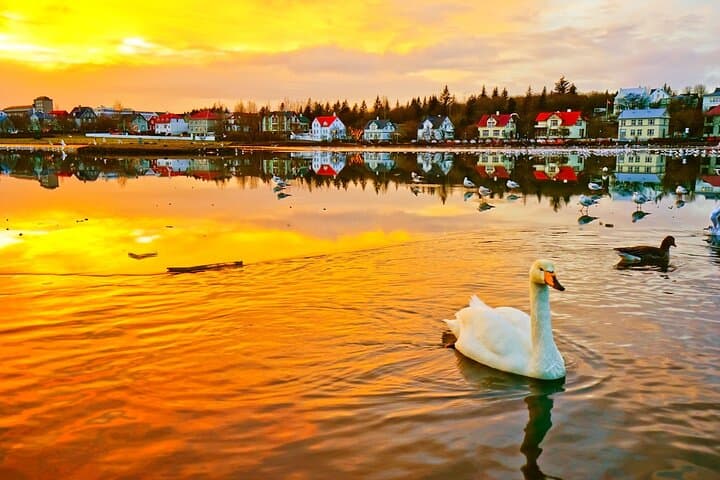 Reykjavík by Night - Illuminated Landmarks and Coastal Charm