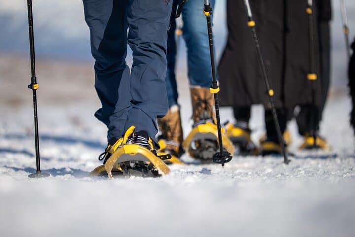 Family Snowshoe Hike from Akureyri