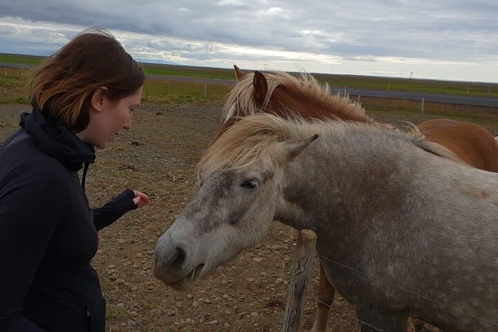 Iceland Golden Circle Small Group Jeep Tour