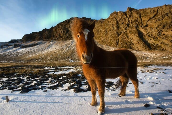 Iceland: Ride Reynisfjara’s Iconic Black Sand Beach