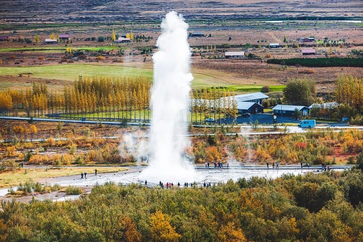 Golden Circle Tour & Meet the Icelandic Horses from Reykjavik