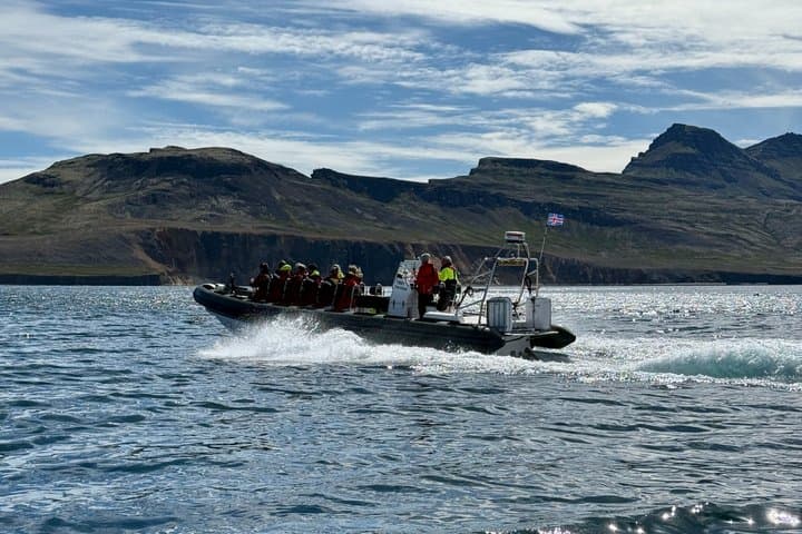 Neskaupstaður RIB Boat Tour with Drink