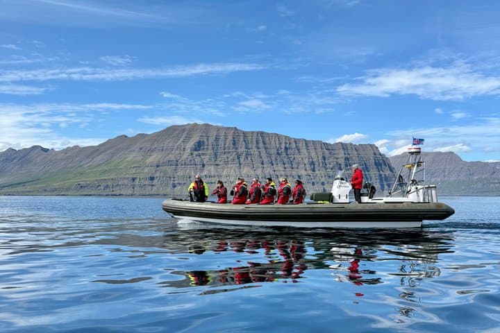 Neskaupstaður RIB Boat Tour with Drink