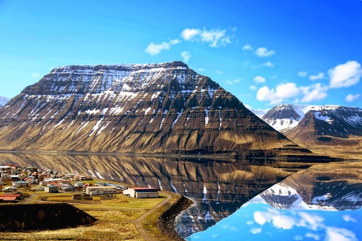 Seal Watching and Scenic Fjord Tour from Isafjordur Port