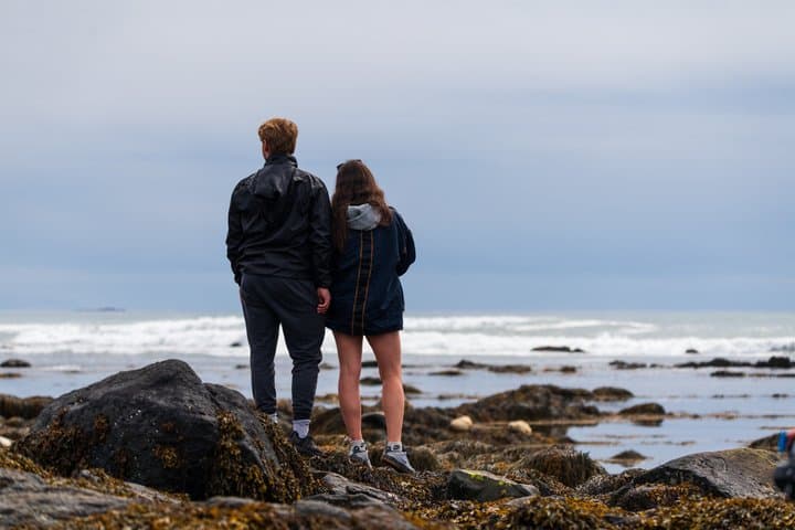 Seal Watching and Scenic Fjord Tour from Isafjordur Port