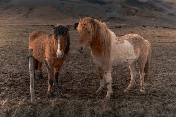 Photo by Raul Kozenevski