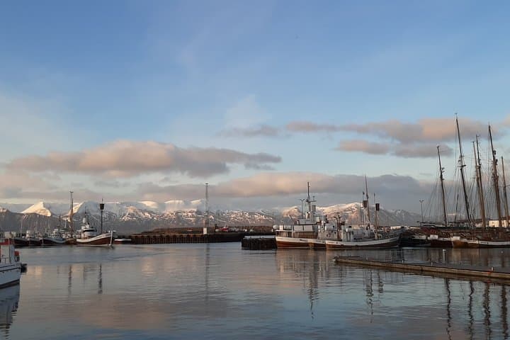 Diamond Circle Tour with Wild North Iceland and Hidden Gems