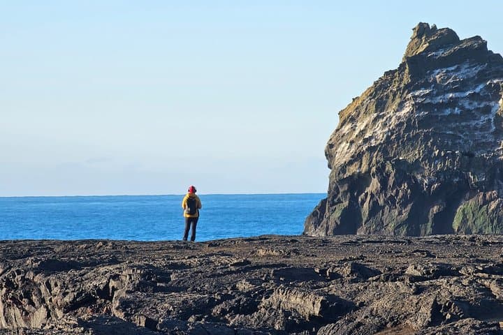 Keflavik: Reykjavik city, Blue Lagoon & Reykjanes Private Tour