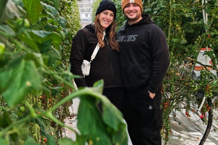 Private Golden Circle & Blue Lagoon Tour with Fridheimar Farm