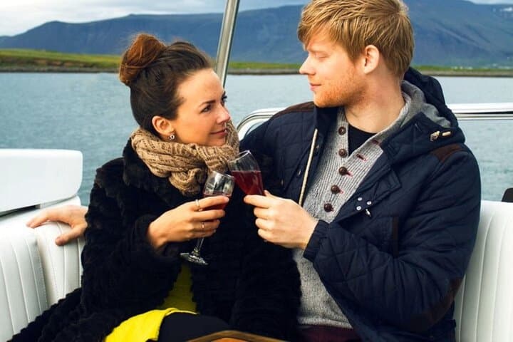 Harbor Cruise with Three Course Dinner from Reykjavik