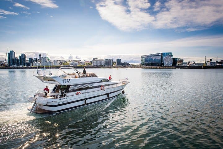 Harbor Cruise with Three Course Dinner from Reykjavik