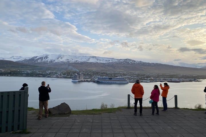 Godafoss Waterfall & Fjord Views Small-Group Tour from Akureyri