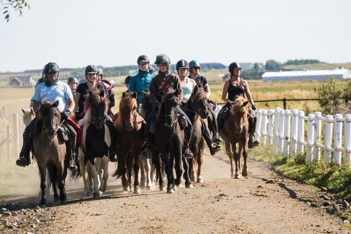 The Heritage Tour from Reykjavík: 1.5 to 2-Hour Ride