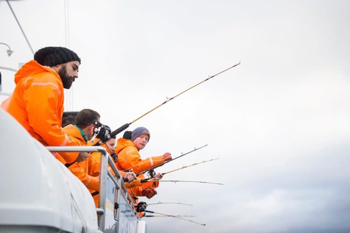 Sunset Fishing Excursion in Faxaflói Bay