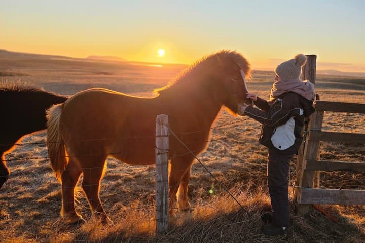 South Coast Day Tour with Horse Riding(optional) at Black Sand