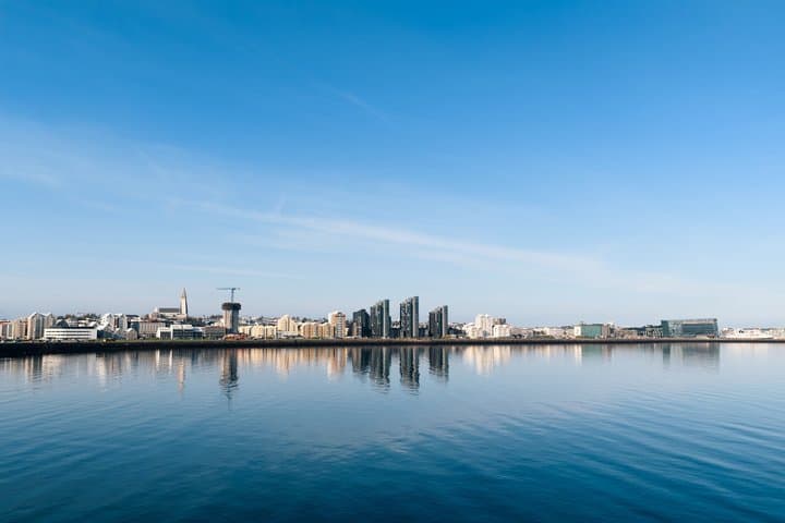 Private Shore Tour: Best Value Whale Watching from Reykjavik