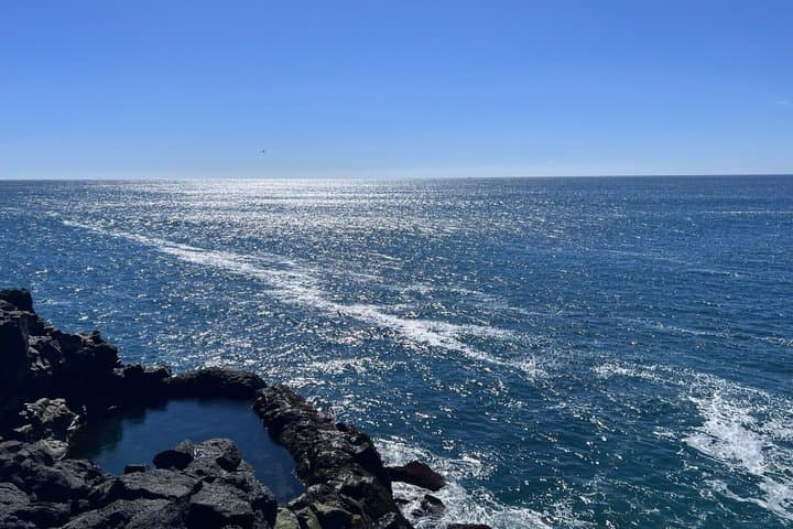 Reykjanes Geothermal, Volcanoes and Cliffs Small Group Tour