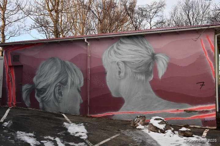 Reykjavik Street Art Backstreets and Stories