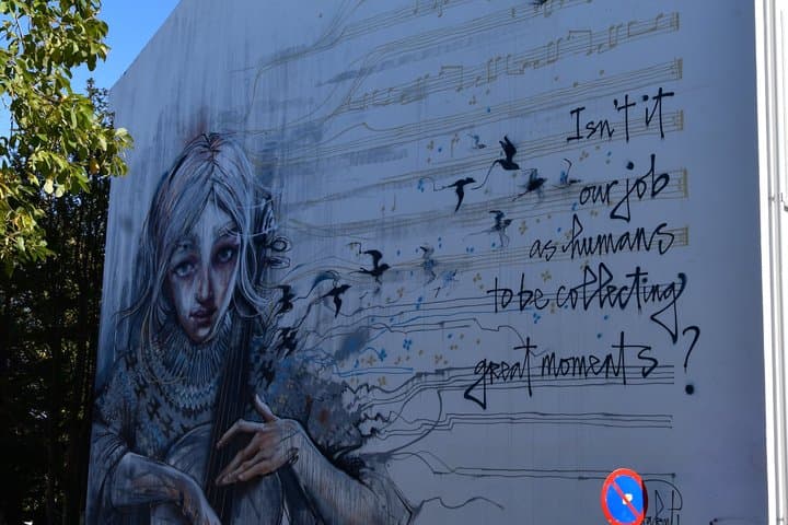 Reykjavik Street Art Backstreets and Stories