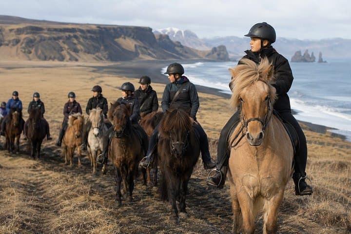 South Iceland Horseback Ride: Black Sand Beach & Glacier Views