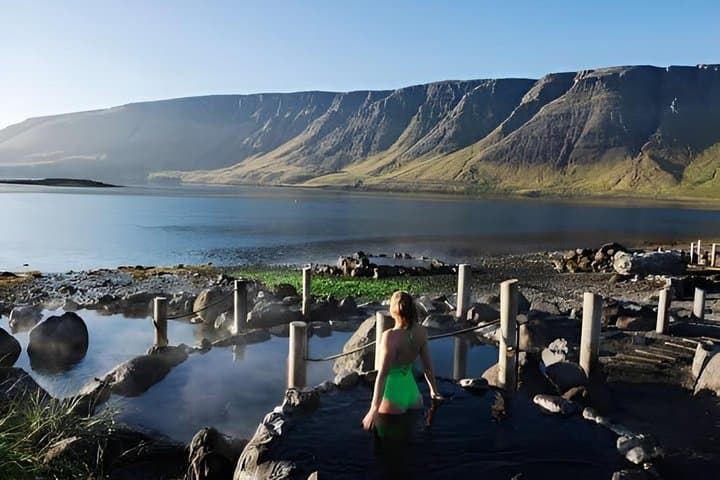 Private Northern Lights Tour with Hvammsvik Hot Spring Tickets