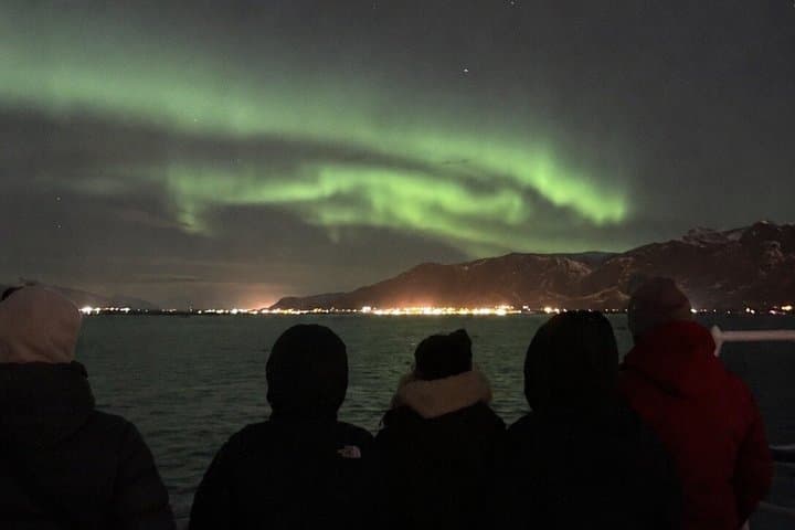 Northern Lights Cruise with Hot Chocolate and Free Retry Included