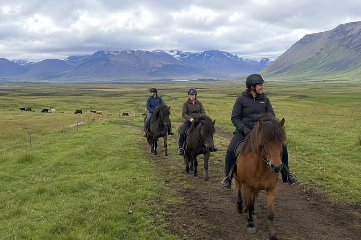 Írafoss Waterfall Horseback Riding Experience in South Iceland