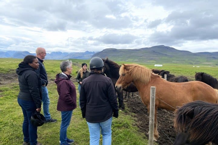 Írafoss Waterfall Horseback Riding Experience in South Iceland