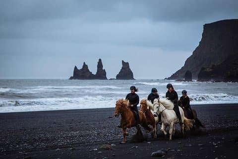 Riding Icelandic horses on the black sand beach of Vík í Mýrdal