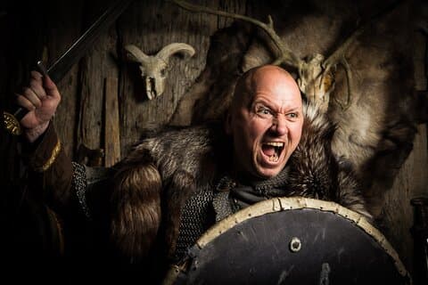 Feel like a true Viking yourself as we trace their steps through Reykjavik City.