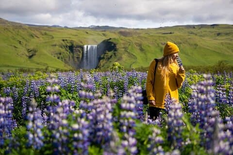 Skógafoss