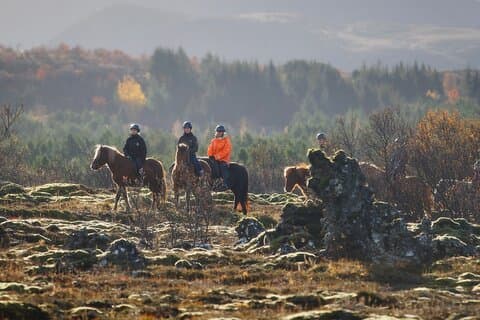 Riding the Icelandic Horse through lava fields