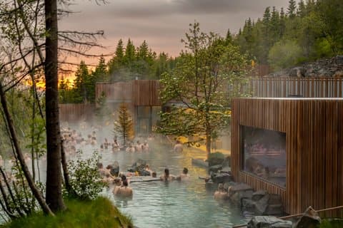Forest Lagoon & Goðafoss Waterfall Small-Group Tour from Akureyri