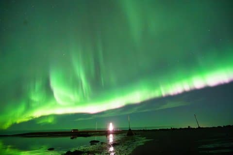 Northern Lights Small-Group Tour, Professional Photos & Hot Cocoa