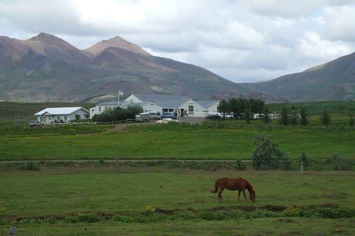 Laxnes Farm, summer