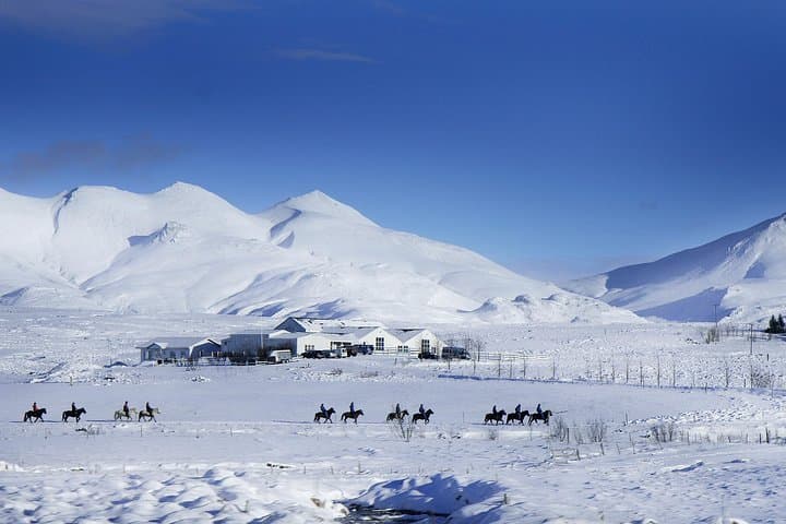Laxnes Farm, Winter