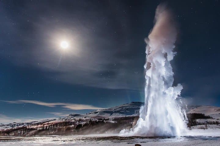 See the Earth erupt with life!
