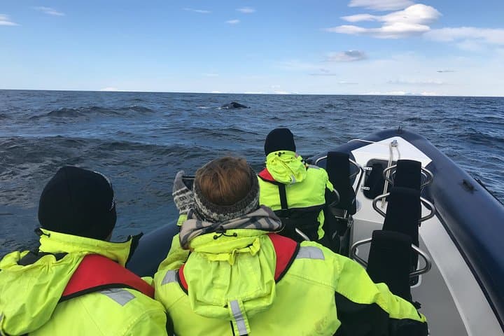 A beautiful day at sea