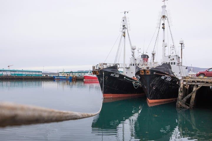 Reykjavík Harbour, also known as Old Harbour, is where vessels anchor.