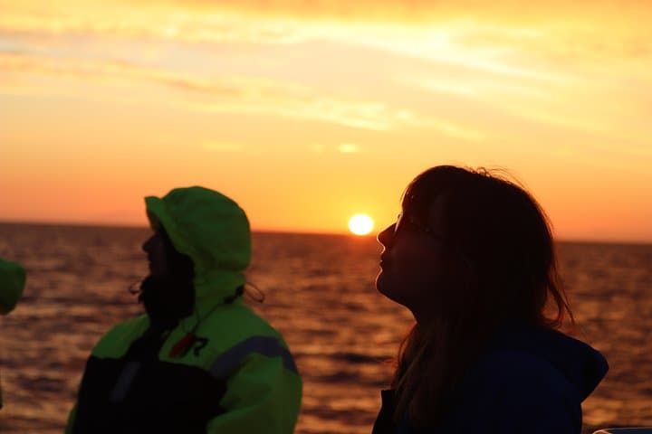 Midnight Sun Whale & Puffin watching from Reykjavik