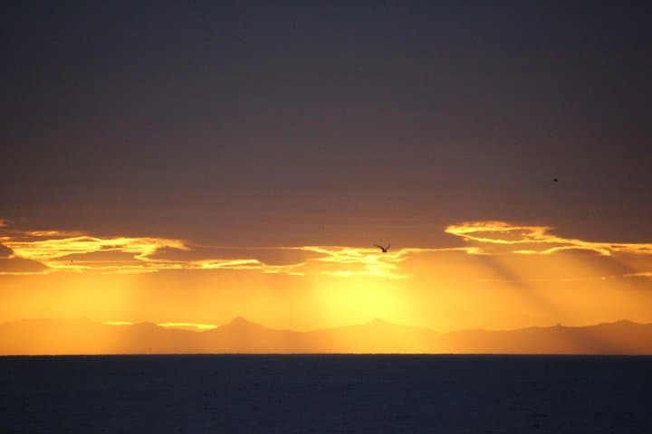 Midnight Sun Whale & Puffin watching from Reykjavik