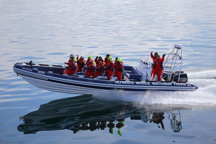 The Fast RIB Boats