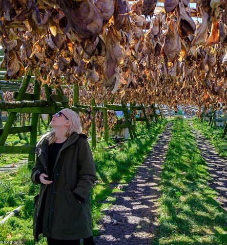 dry fish
