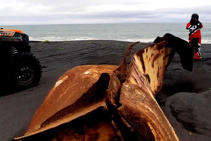 2 hour black sand beach tour 5
