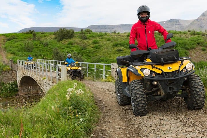 Reykjavik ATV & Whale Watching Full-Day Adventure