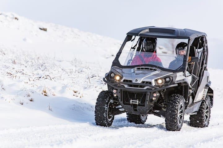 Reykjavik Buggy & Whale Watching Full-Day Adventure