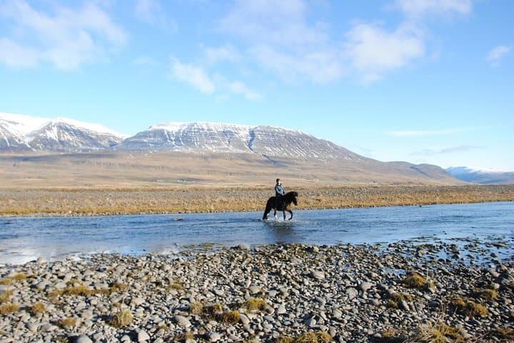 Private 3-Hour Horseback Riding Tour