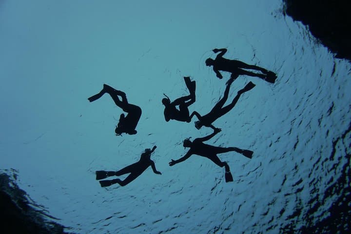Freedive Silfra Half Day Tour